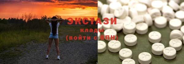 гашик Алексин
