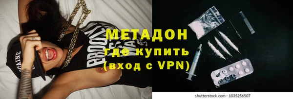 гашик Алексин