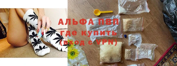 гашик Алексин