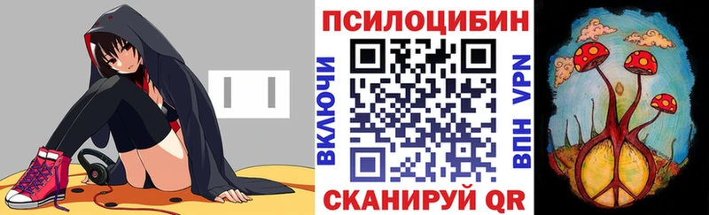 закладки  MEGA зеркало  Псилоцибиновые грибы ЛСД  Ступино 